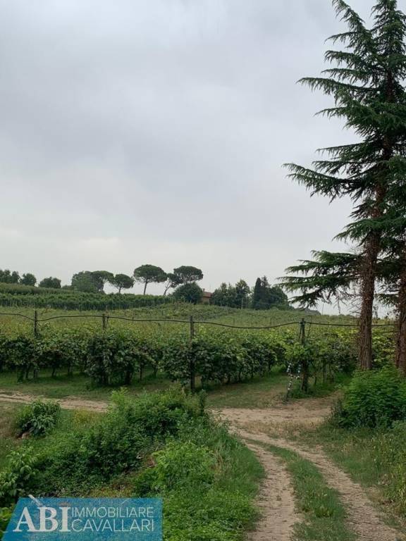terreno agricolo in vendita a Faenza in zona Sarna