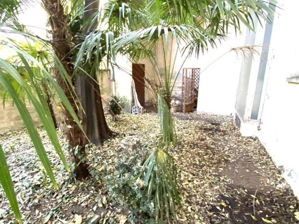 casa indipendente in vendita a Faenza in zona Centro Storico