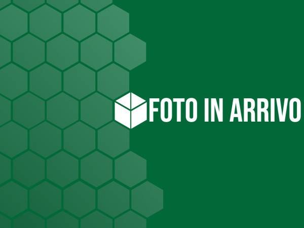 appartamento in vendita a Faenza in zona Fossolo