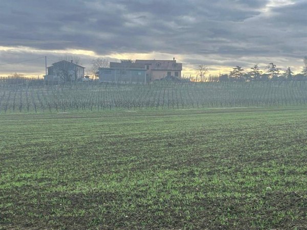 casa indipendente in vendita a Faenza