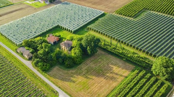 casa indipendente in vendita a Faenza in zona Pieve Cesato