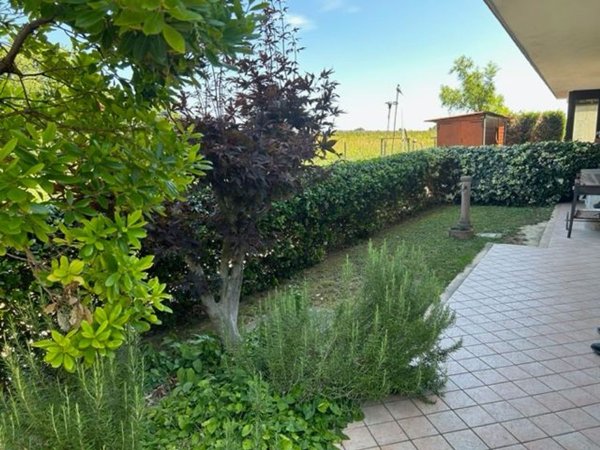 appartamento in vendita a Faenza in zona Pieve Cesato