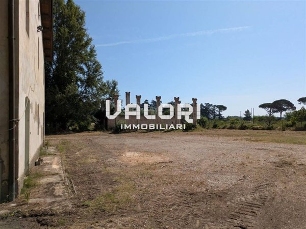 immagine annuncio 0 di 15