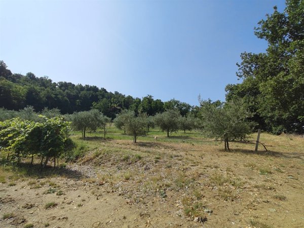 terreno agricolo in vendita a Faenza in zona Santa Lucia