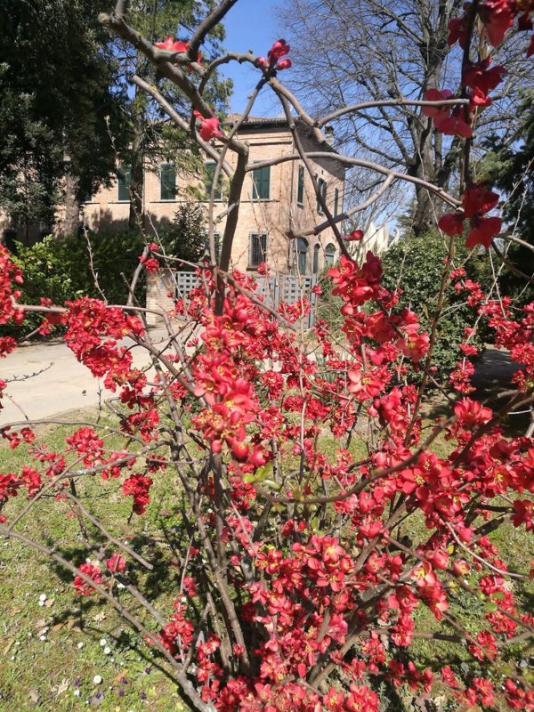 casa indipendente in vendita a Faenza