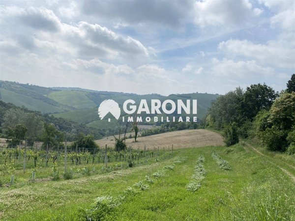 terreno agricolo in vendita a Faenza