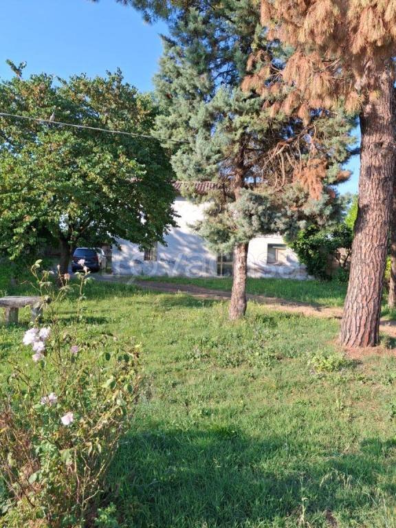 casa indipendente in vendita a Faenza in zona Pieve Cesato