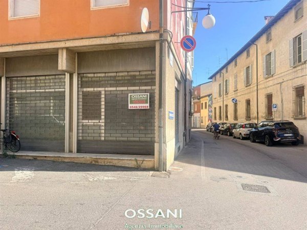 appartamento in vendita a Faenza