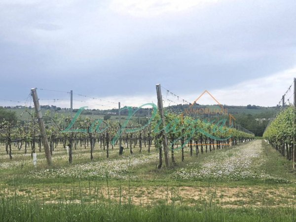 terreno agricolo in vendita a Faenza in zona Santa Lucia