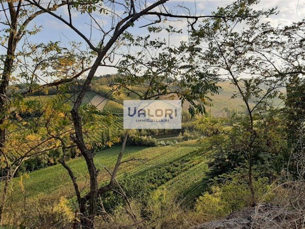 terreno agricolo in vendita a Faenza in zona Santa Lucia