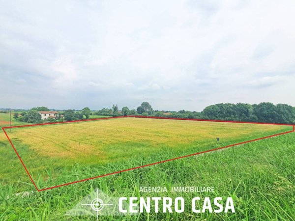 terreno agricolo in vendita a Fusignano in zona San Savino