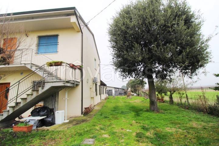 appartamento in vendita a Fusignano in zona San Savino