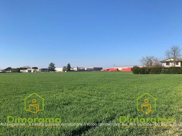terreno agricolo in vendita a Lugo