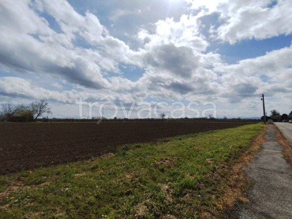 terreno agricolo in vendita a Lugo in zona Villa San Martino