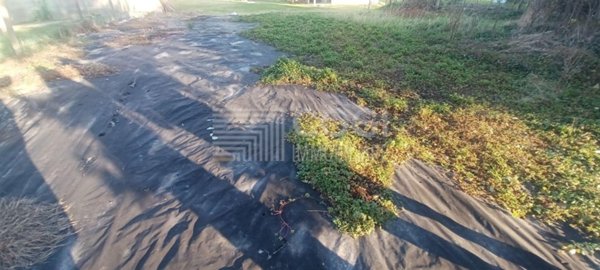 casale in vendita a Lugo