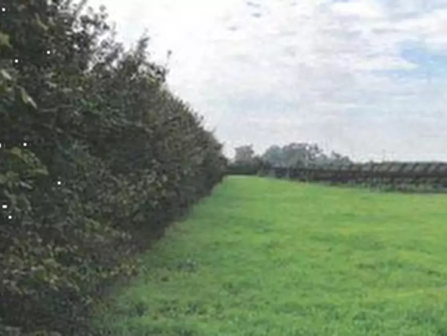 terreno agricolo in vendita a Lugo