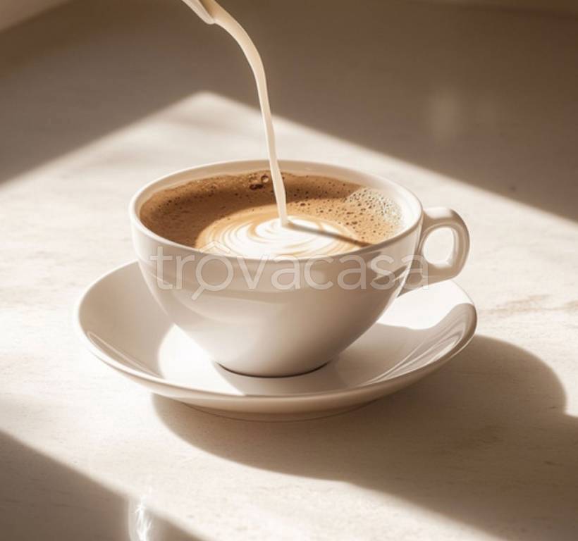 negozio in vendita a Lugo