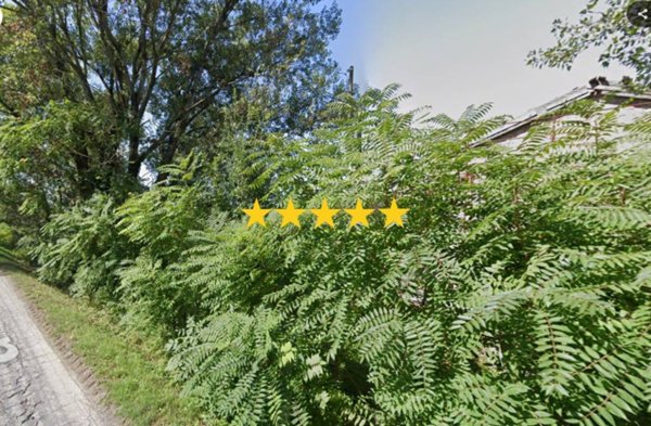 appartamento in vendita a Lugo