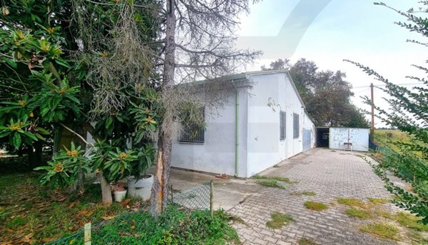 casa indipendente in vendita a Lugo in zona Voltana