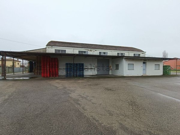 terreno edificabile in vendita a Lugo in zona Voltana