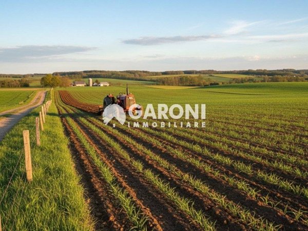 terreno agricolo in vendita a Lugo