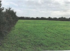 terreno agricolo in vendita a Lugo