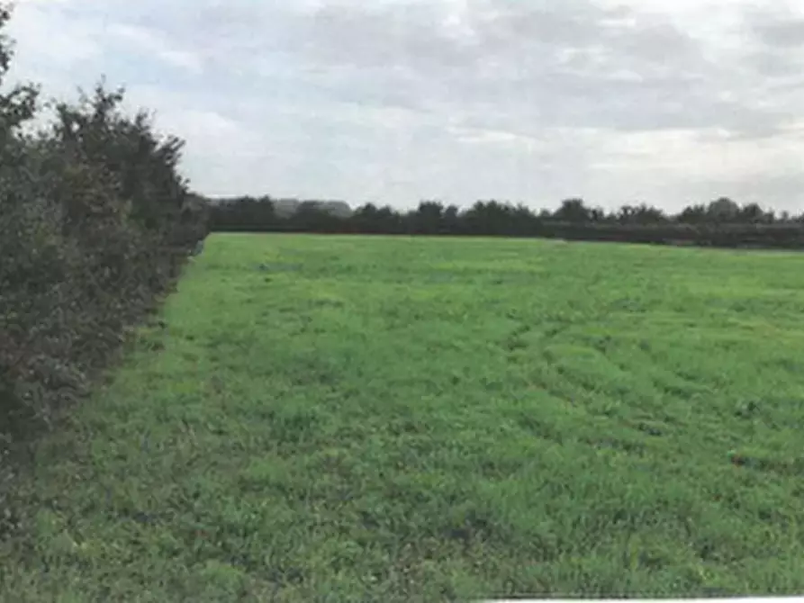 terreno agricolo in vendita a Lugo