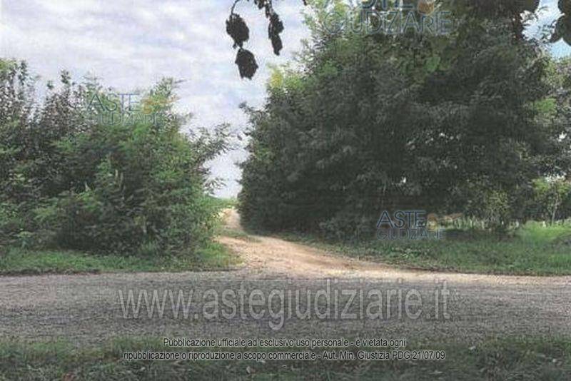 appartamento in vendita a Lugo in zona Ciribella