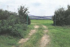 terreno agricolo in vendita a Lugo