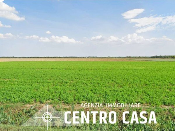 terreno agricolo in vendita a Lugo