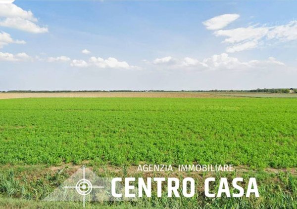 terreno agricolo in vendita a Lugo