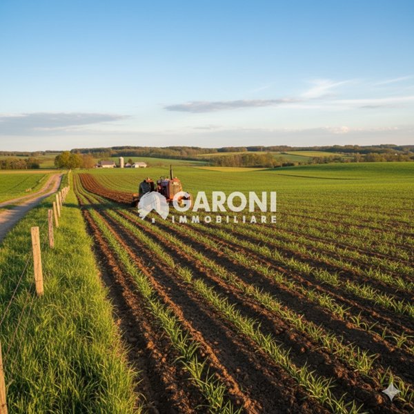 terreno agricolo in vendita a Lugo