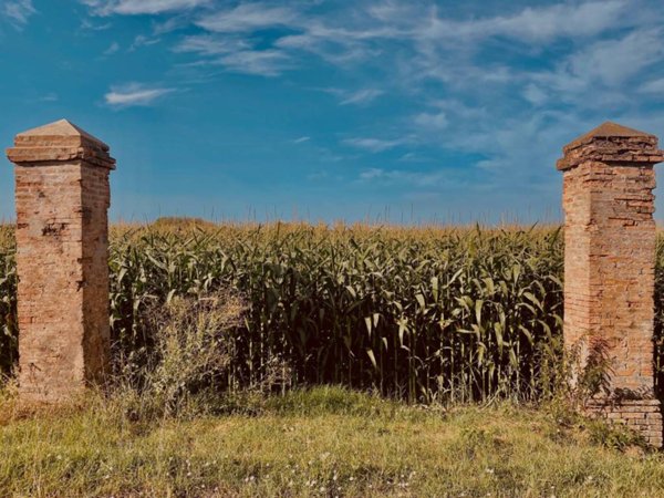 terreno edificabile in vendita a Massa Lombarda