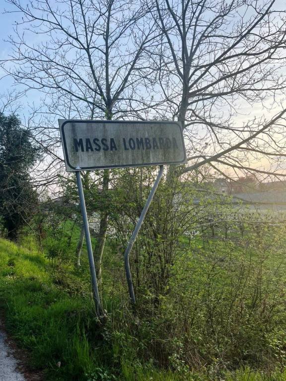 terreno agricolo in vendita a Massa Lombarda
