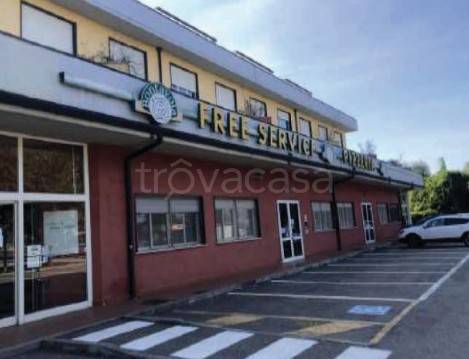 negozio in vendita a Massa Lombarda