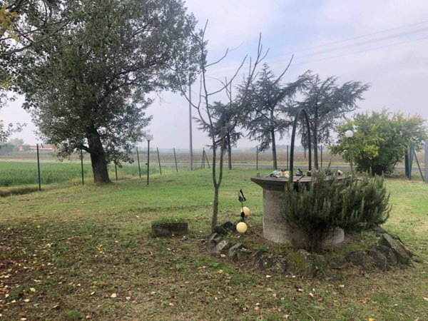 casa indipendente in vendita a Massa Lombarda