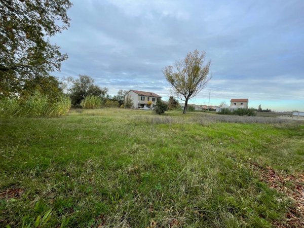 terreno agricolo in vendita a Massa Lombarda