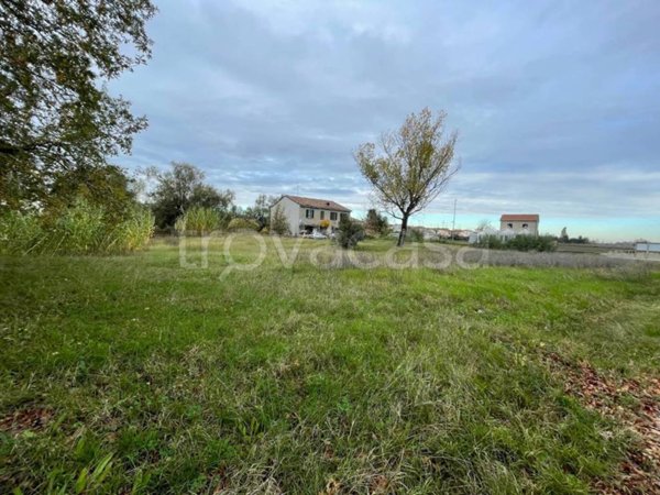 terreno edificabile in vendita a Massa Lombarda