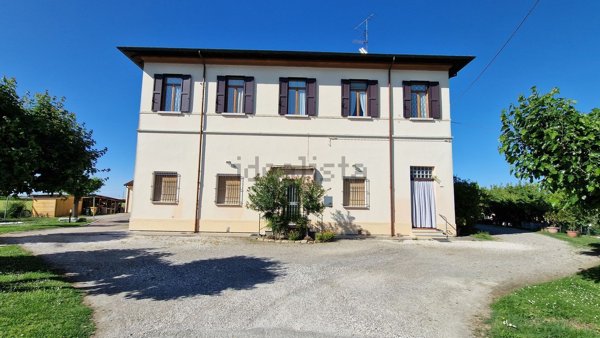 appartamento in vendita a Massa Lombarda