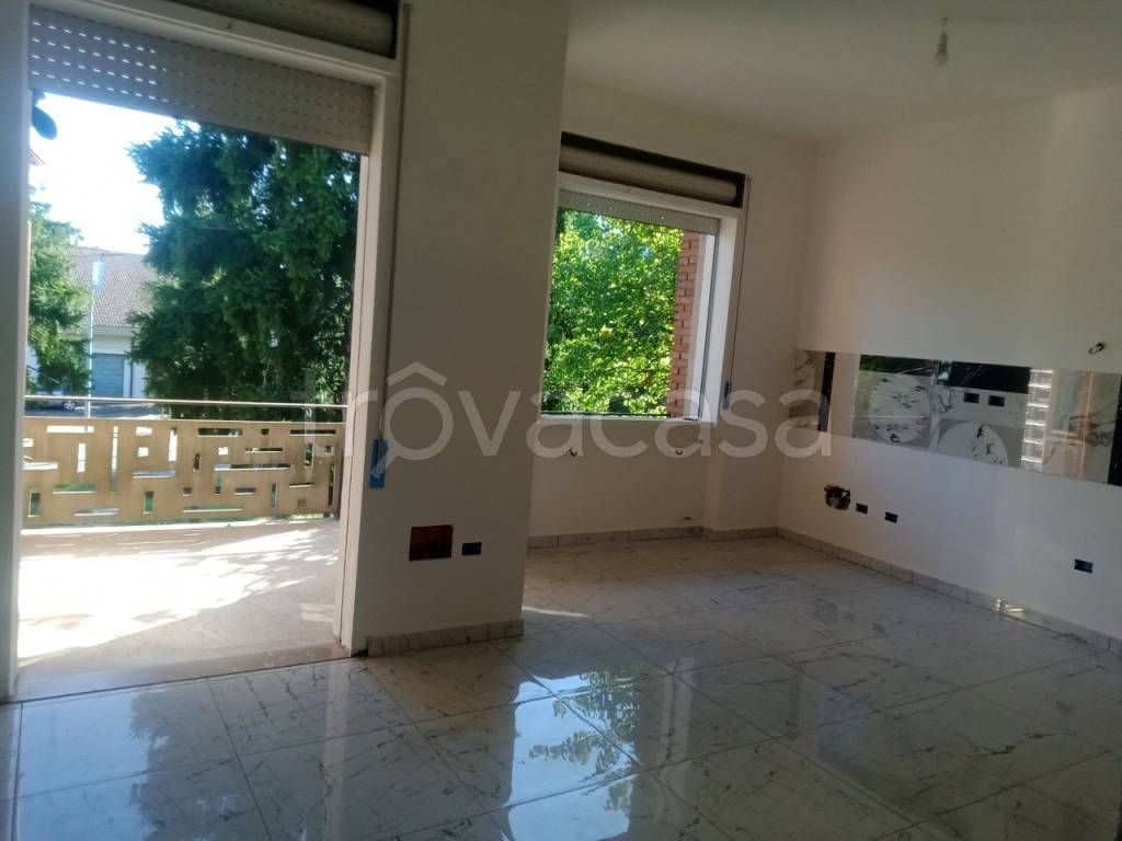 appartamento in vendita a Massa Lombarda