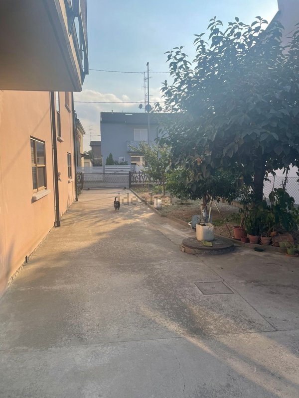 casa indipendente in vendita a Massa Lombarda