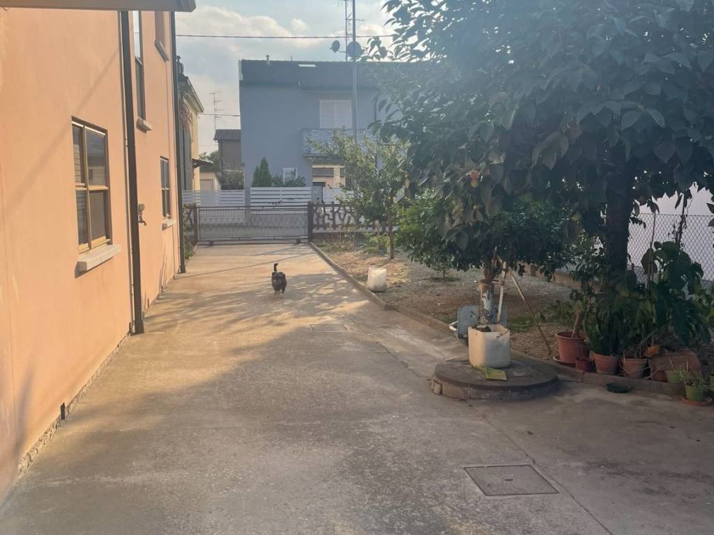 casa indipendente in vendita a Massa Lombarda