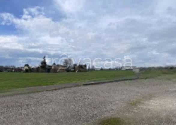 appartamento in vendita a Massa Lombarda