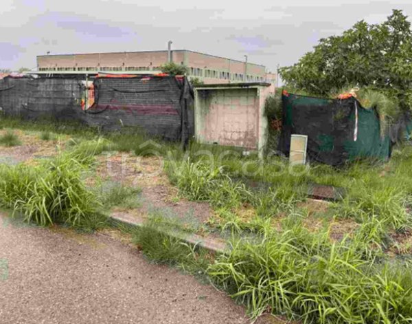 terreno agricolo in vendita a Massa Lombarda