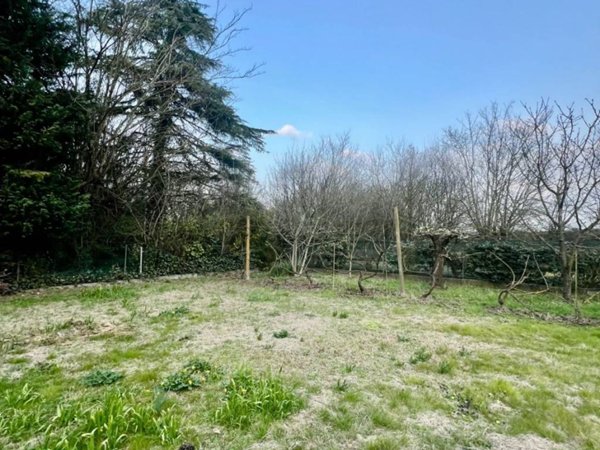 casa indipendente in vendita a Massa Lombarda