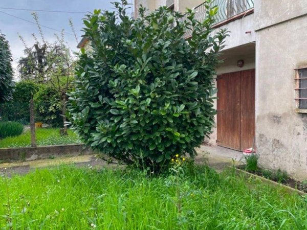 casa indipendente in vendita a Massa Lombarda