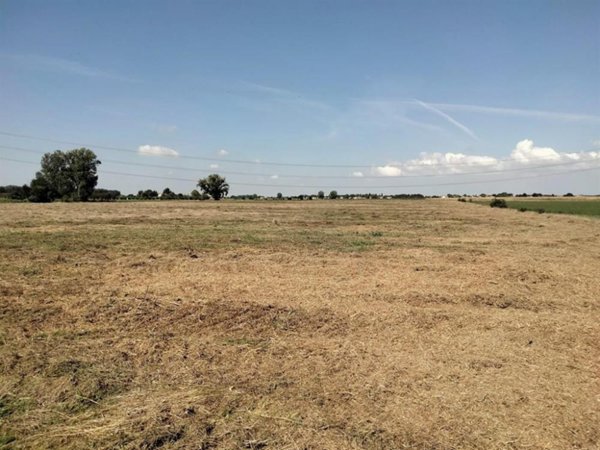 terreno agricolo in vendita a Ravenna in zona San Romualdo
