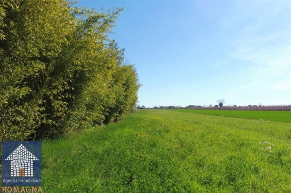 terreno agricolo in vendita a Ravenna in zona San Bartolo