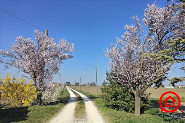 appartamento in vendita a Ravenna in zona San Pietro in Campiano