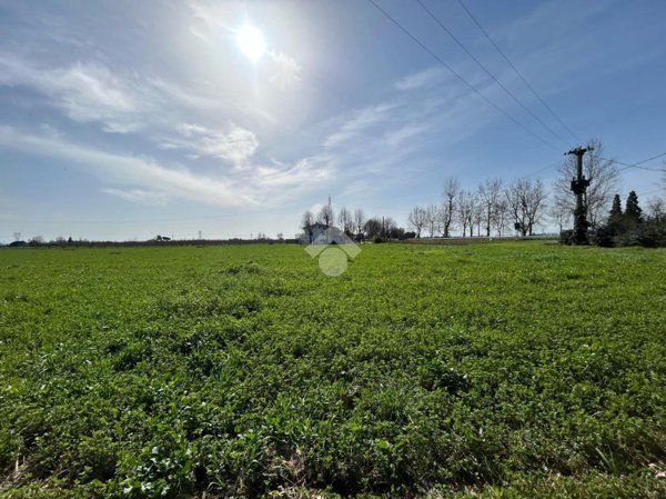 terreno agricolo in vendita a Ravenna in zona San Romualdo